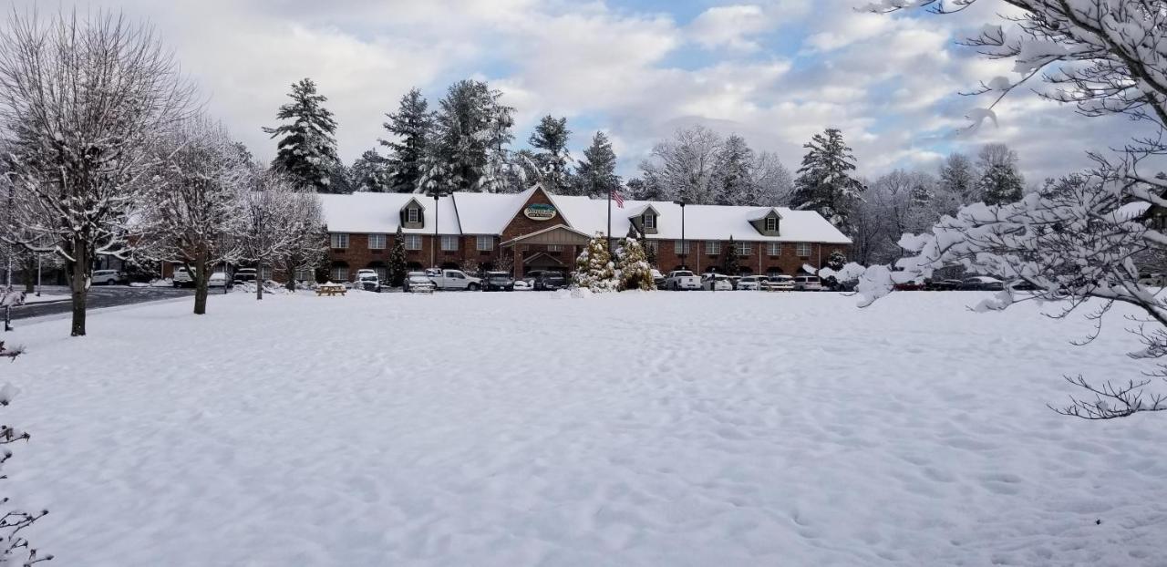 Hotel Mountain &